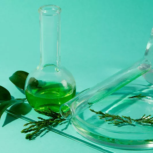 Regenerative Therapy